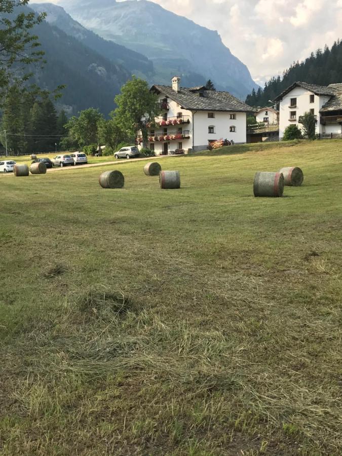 Flora Alpina Apartments-Residenza Verdebjo Gressoney-Saint-Jean Exteriér fotografie